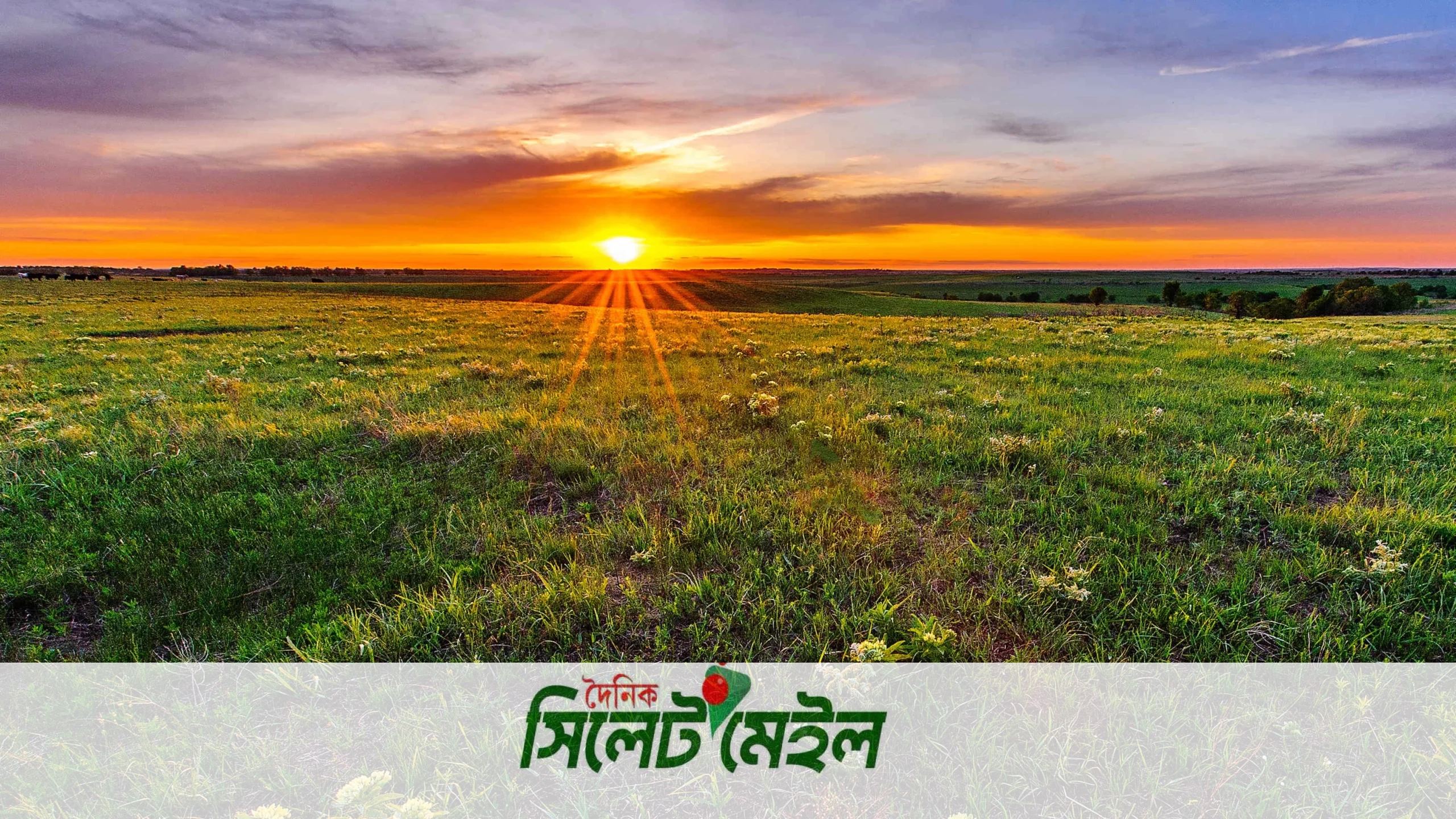 জুলাইয়ে চালু হচ্ছে ভূমি মালিকানা সনদ