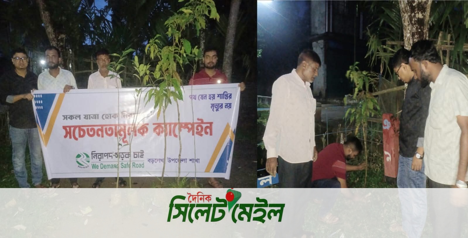 বড়লেখায় নিসচার উদ্যোগে বৃক্ষরোপণ কর্মসূচি