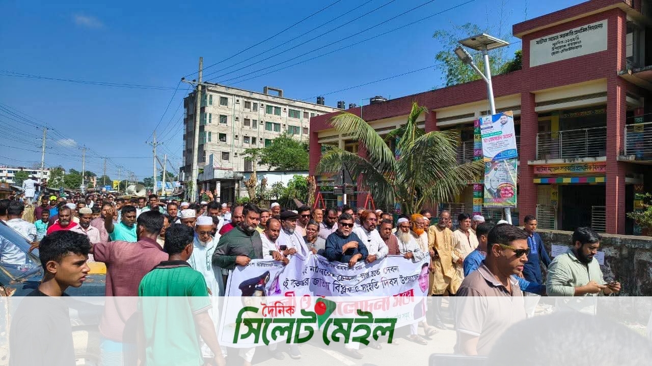 বড়লেখায় বিপ্লব ও সংহতি দিবসে র‌্যালি ও আলোচনা সভা